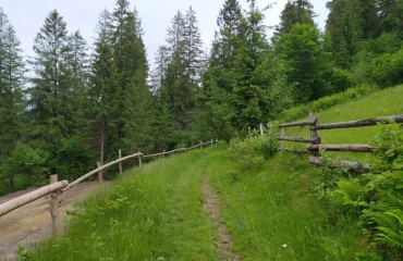 Fotografie Teren, de vânzare. Slavske
