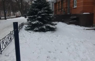 Zdjęcie Komercyjna, do wynajęcia. Poltava Шевченковский (Октябрьский)