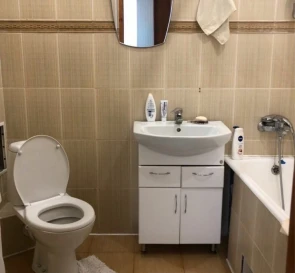 Photo 3. One-Room flat, to rent. Kyiv Дарницкий